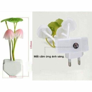 Combo 70 đèn ngủ nấm