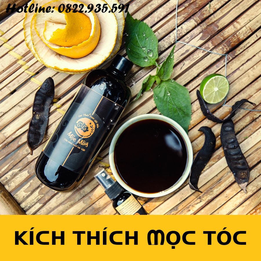 Dầu Gội Thảo Dược - FREESHIP - Cao Thảo Dược Gội Đầu Sạch Gàu Mọc Tóc Mộc Mây DM02-A