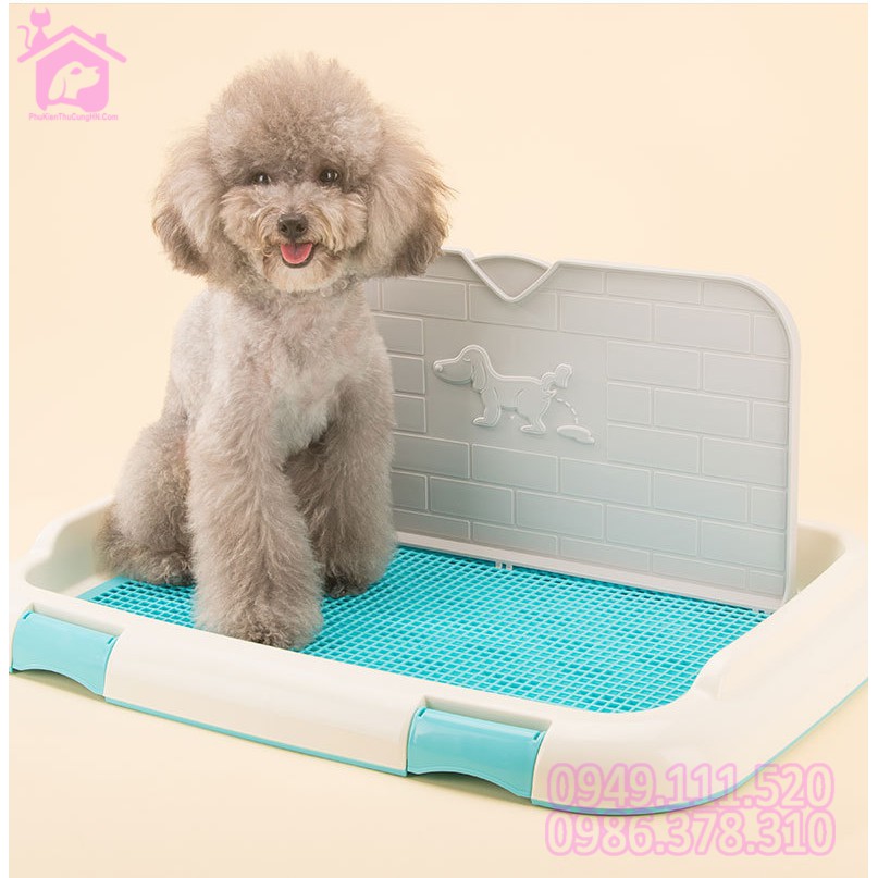 🐕 Khay vệ sinh cho chó Size nhỏ 46x35 có tường và cọc cao cấp - CutePets Phụ kiện thú cưng pet shop Hà Nội