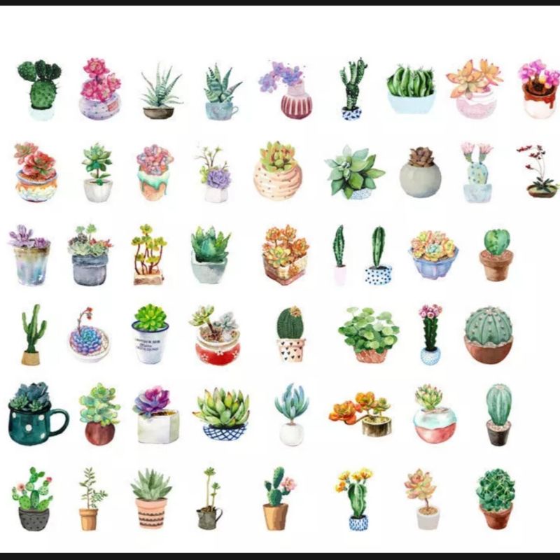 STICKER chậu sen đá hộp 45 miếng dán trang trí sổ tay, điện thoại, laptop - S06