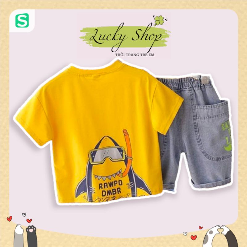🐋🐋 SET ÁO THUN CÁ MẬP QUẦN BÒ TÚI HỘP 🐋🐋