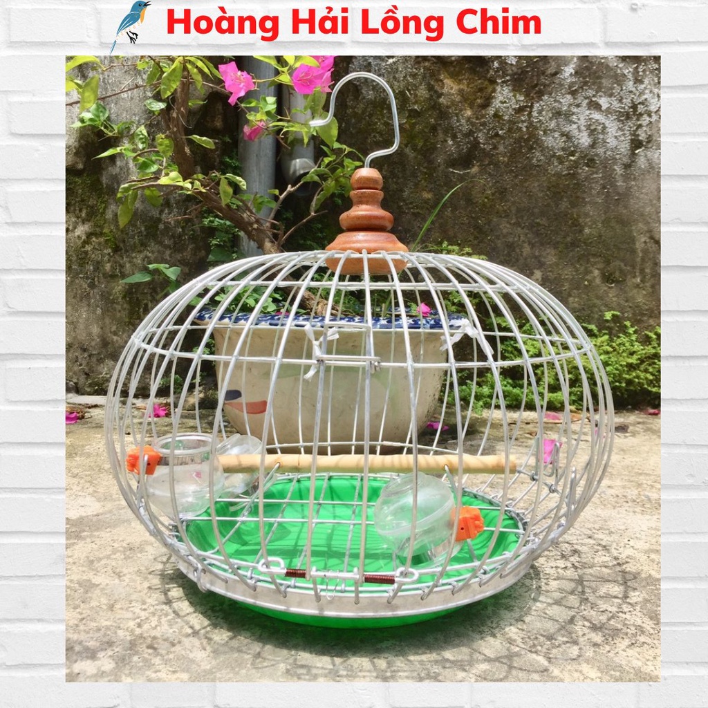 Lồng cu gáy Lồng cu gáy chất liệu nhôm giá rẻ đẹp như hình Hoàng_Hải_Lồng Chim