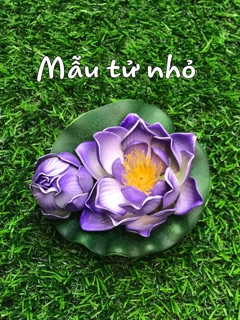Hoa sen thả nước - hoa thả nước