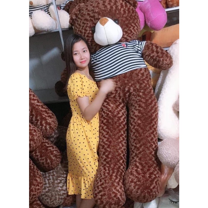 Gấu bông thú nhồi bông Teddy siêu to khổng lồ nâu nhạt nâu đậm TK09