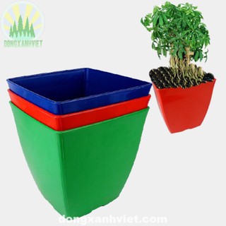 Chậu nhựa vuông V20 hàng nhập khẩu và phân phối chính hãng.