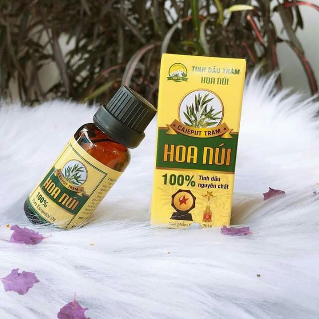 Combo 15 Tinh dầu tràm Hoa Núi 20ml