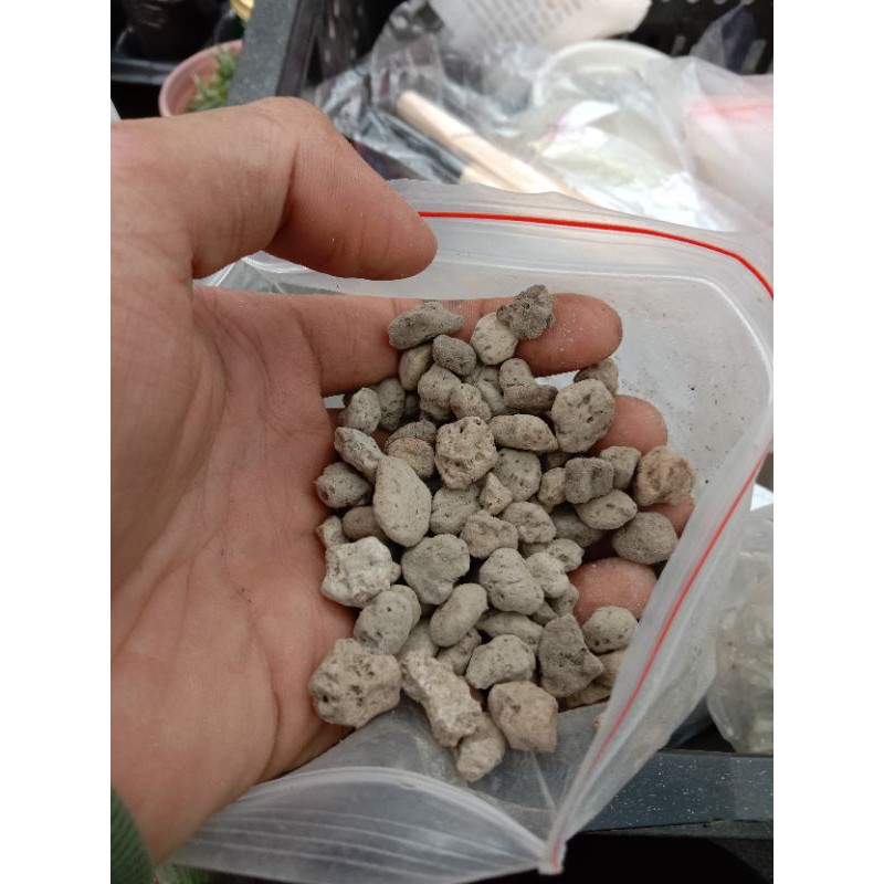 [ TRANG TRÍ ] 1Kg HẠT PUMICE RẢI BỀ MẶT ĐẤT TRỒNG SEN ĐÁ XƯƠNG RỒNG THOÁT NƯỚC TỐT, KHÔNG GÂY ÚNG LÁ TẦNG DƯỚI CHO SEN