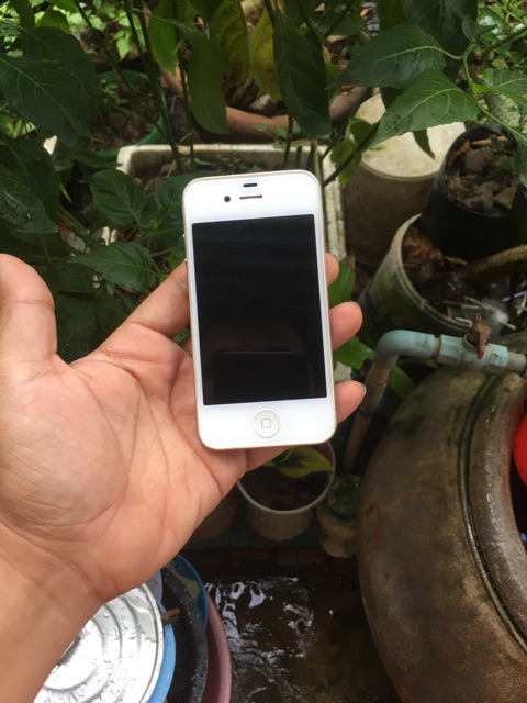 Màn hình iphone 4 bóc máy đẹp | BigBuy360 - bigbuy360.vn