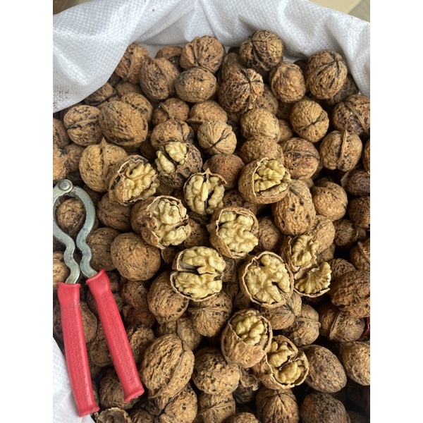 1000 GR óc chó nếp vỏ đen
