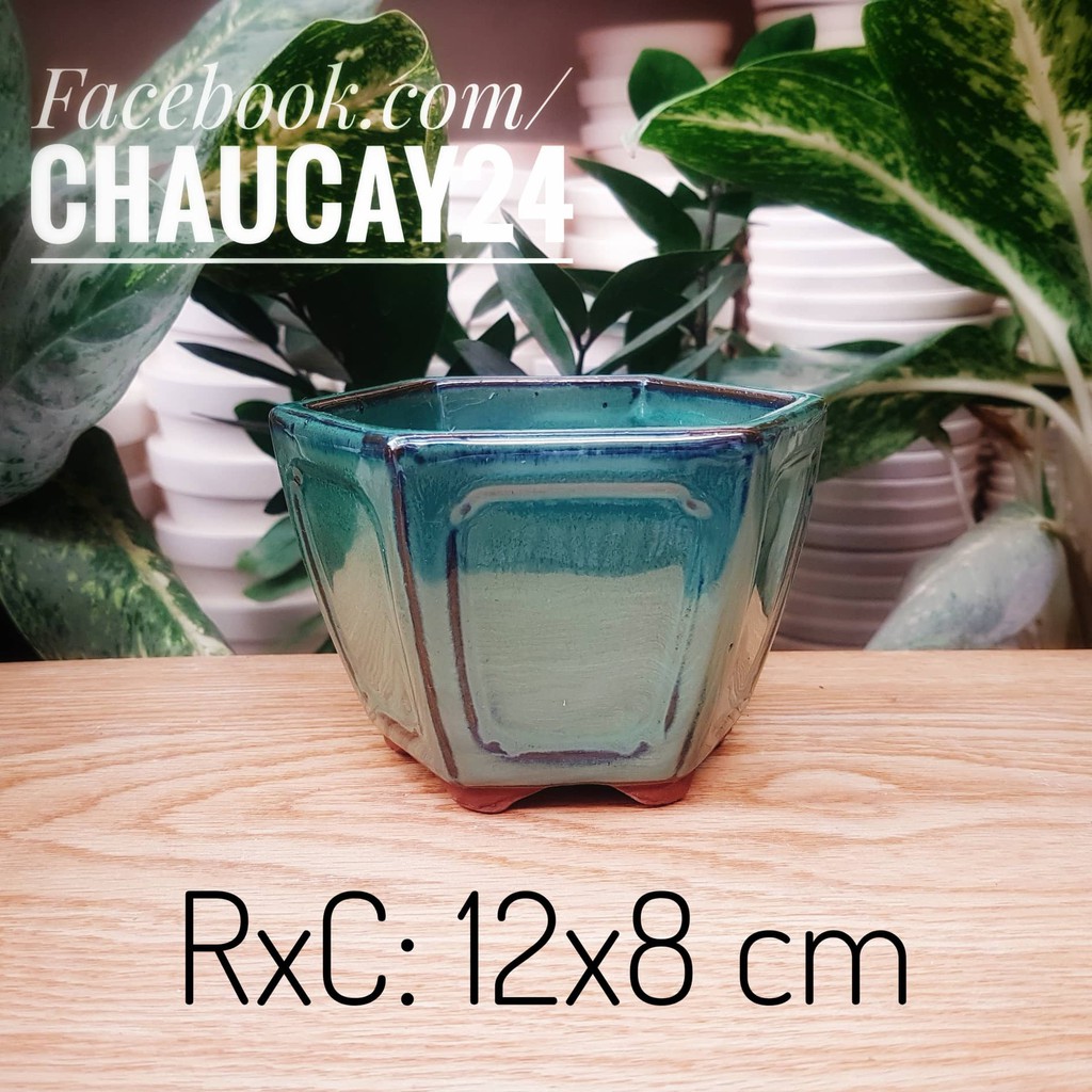 Chậu Sứ Trồng Cây Cảnh Để Bàn, Cây Nội Thất, Cây Bonsai Hình Lục Giác