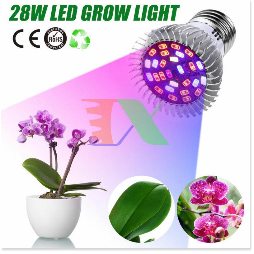 Đèn trồng cây, Đèn led trồng rau trong nhà, Led grow lights (28W, E27)