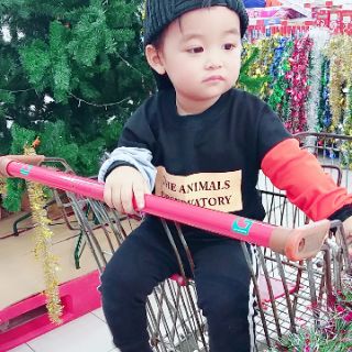 Áo phông cho bé kiểu hàn quốc