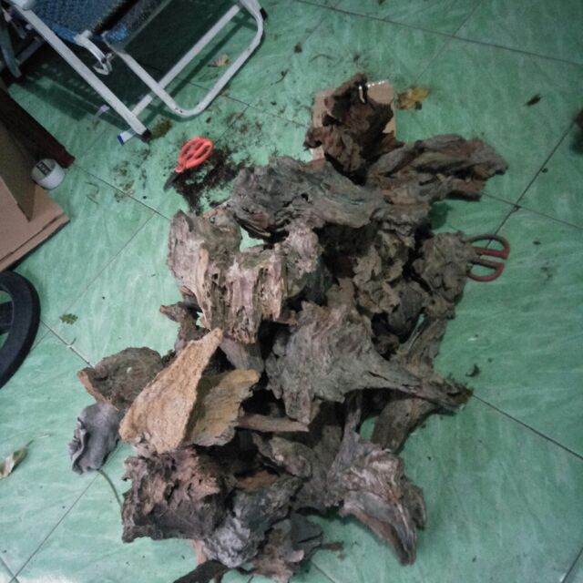 Gỗ ghép lan size lớn 20cm