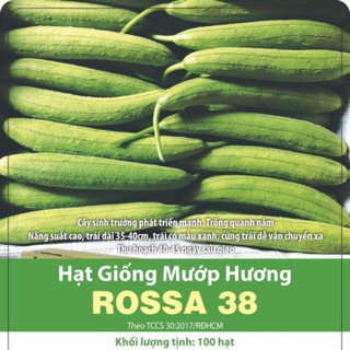 Hạt giống Mướp Hương Rossa 38