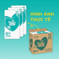 [Hài Phòng] Tã quần Pampers size M60/L54/Xl 48/S52