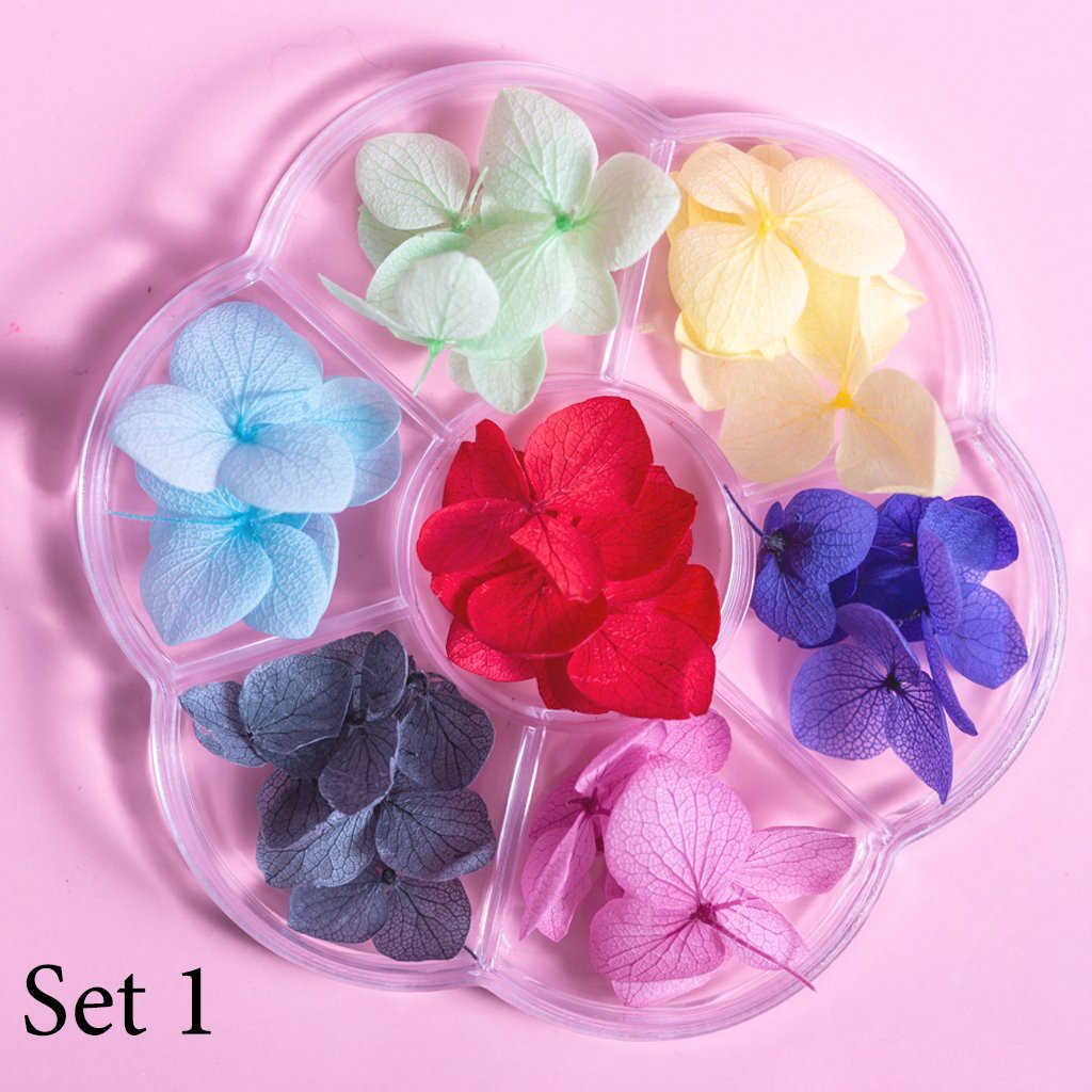 Hoa khô trang trí móng tay - Set 7 màu hoa khô nail, cánh hoa to và mỏng đắp ẩn theo phong cách Hàn Nhật