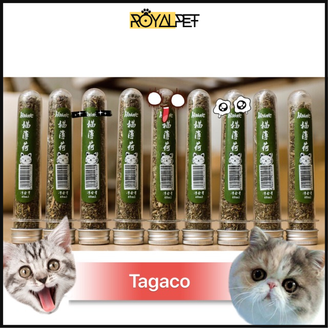 🌈♋️(ĐỔ BUÔN)CỎ MÈO! CATNIP CHO MÈO HAHALE ỐNG 40
