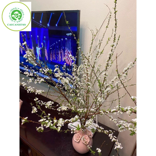  Bó hoa tuyết mai rừng ngủ đông trang trí decor cành dài 1m2 