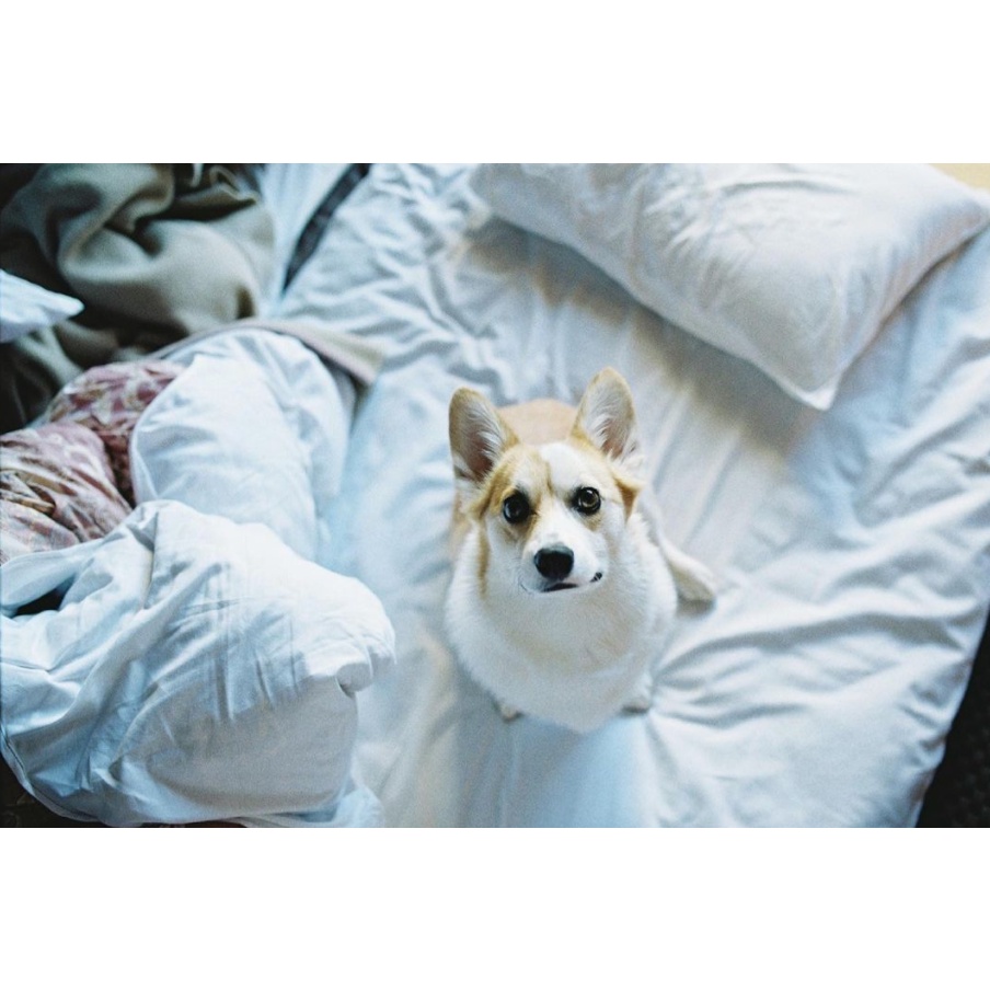 Máy Ảnh Film Canon EOS 7