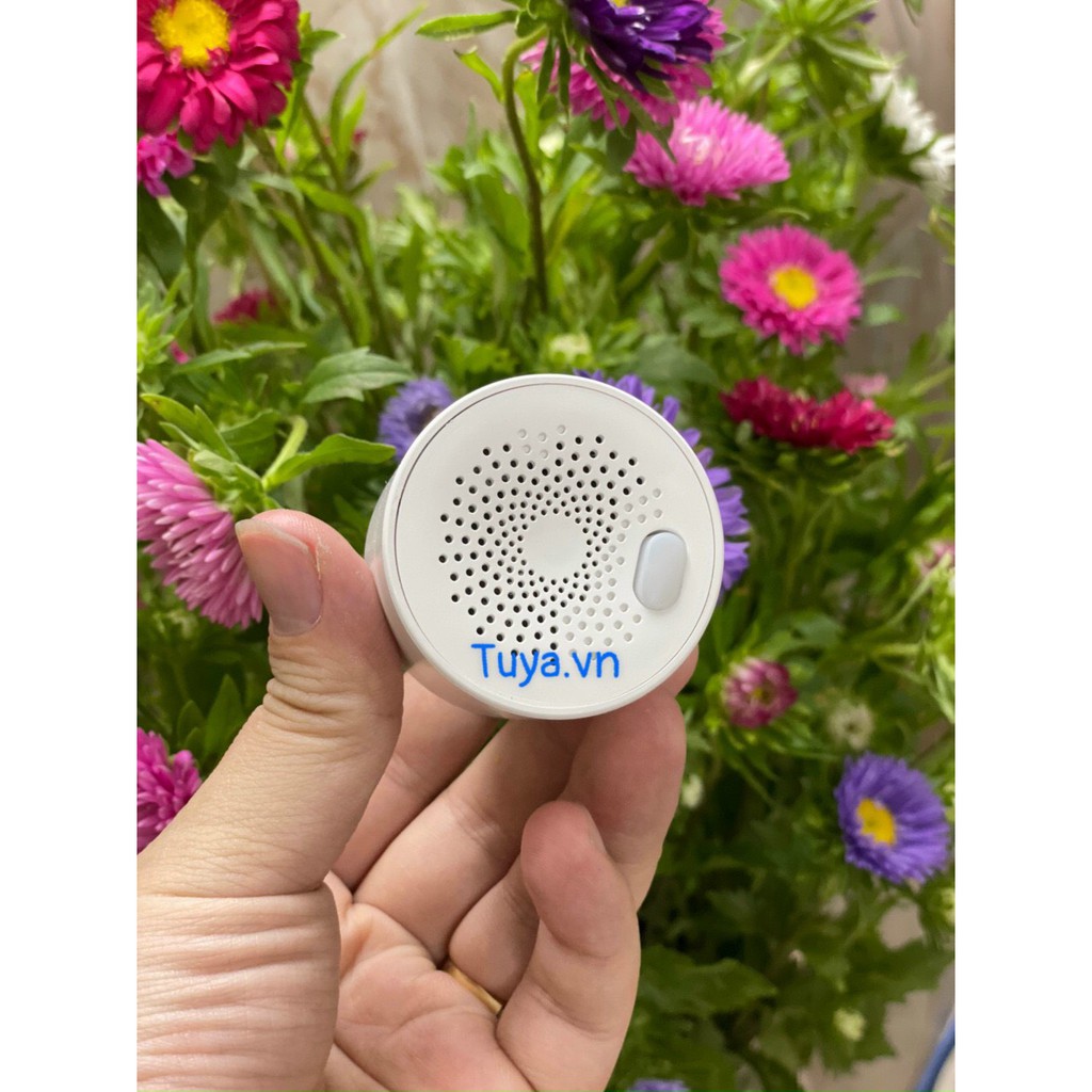 CẢM BIẾN BÁO ĐỘNG RÒ RỈ KHÍ GAS WIFI TUYA SHP-GAS6