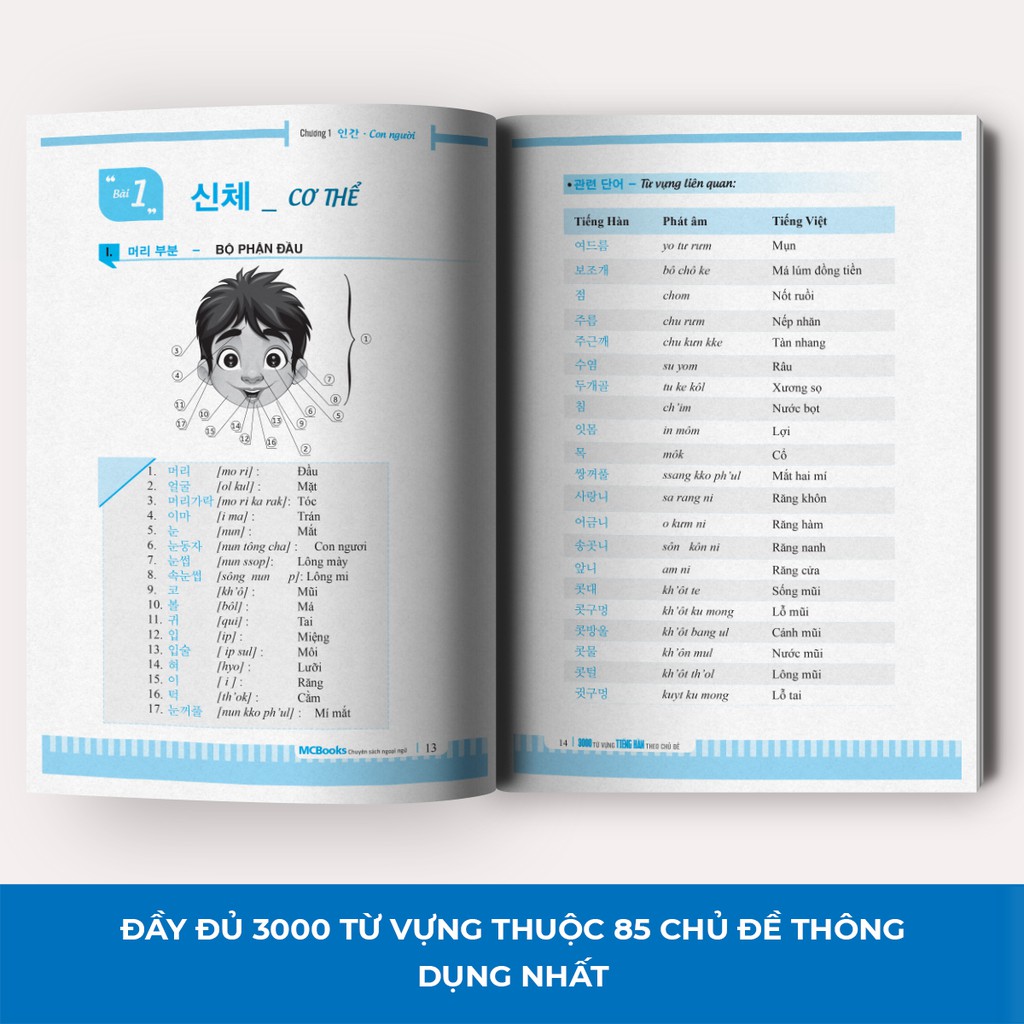 Sách - 3000 Từ Vựng Tiếng Hàn Theo Chủ Đề