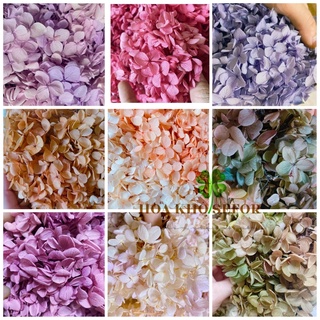 Hoa khô cẩm tú cầu pha cao cấp trang trí resin, nail hoặc makeup..handmade(1 phần như hình ở phân loại hàng)