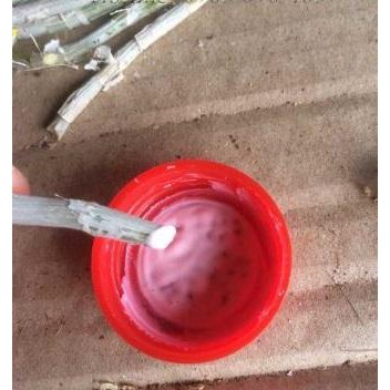 Combo kích keii cho cây - keiki duy pro 15ml và keo liền sẹo mỹ tiến 100g