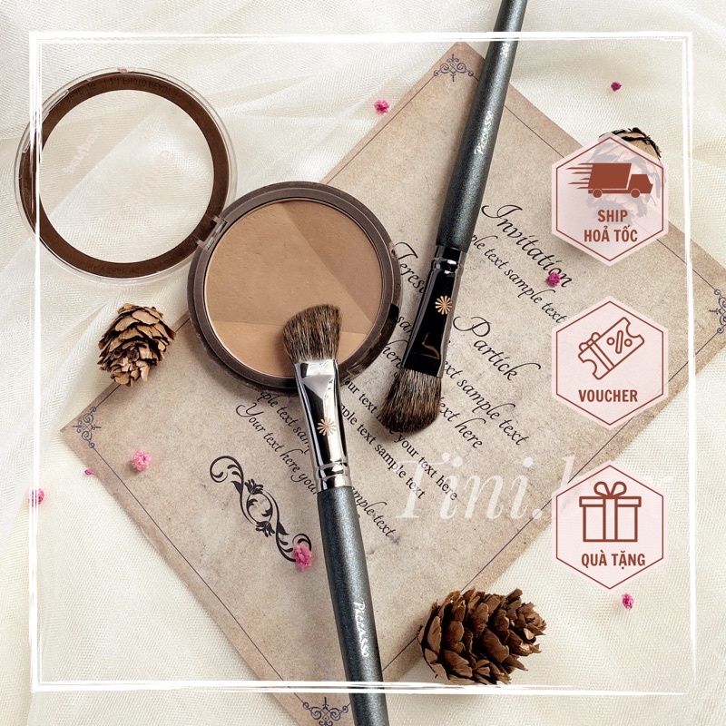 Cọ khối mũi Piccasso 201