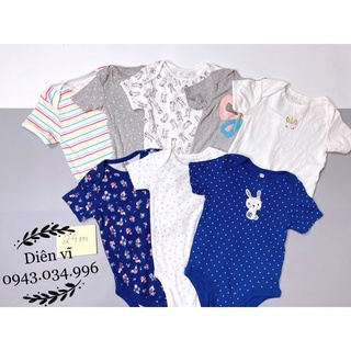 BODY Xuất Xịn Sỉ