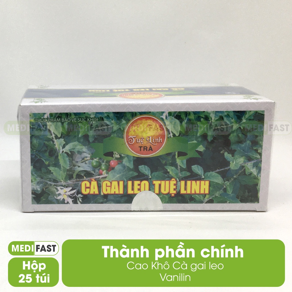 Trà dạng túi lọc Cà Gai Leo Tuệ Linh hộp 25 túi bảo vệ phục hồi tế bào gan tổn thương do rượu bia chất kích thích