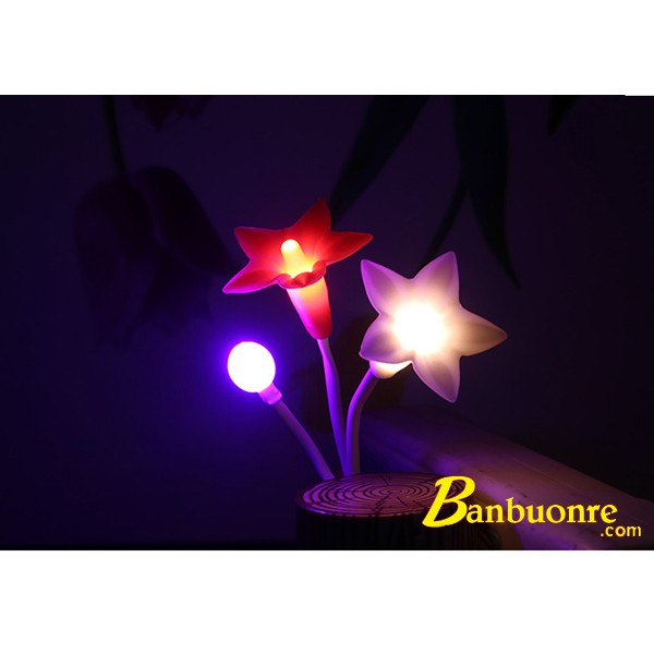 Đèn ngủ cảm ứng Hoa Ly, đèn ngủ để bàn, đèn ngủ cắm tường, quà tặng đèn ngủ, đèn ngủ cảm ứng ánh sáng