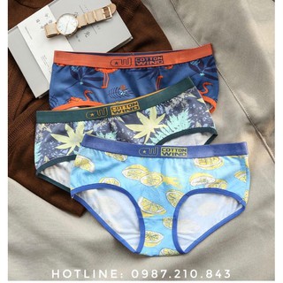Quần lót đôi Cotton Wind siêu đẹp