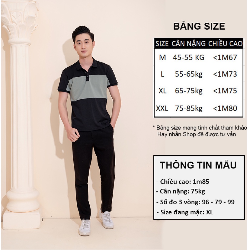 Áo Polo Nam Azila Cổ Bẻ Phối Màu Chất Liệu Cá Sấu cotton Xuất Xịn Chuẩn From Dáng Sang Trọng