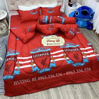 HOT💥HOT Chăn Phao Siêu Nhẹ Cotton Poly Mẫu Mới