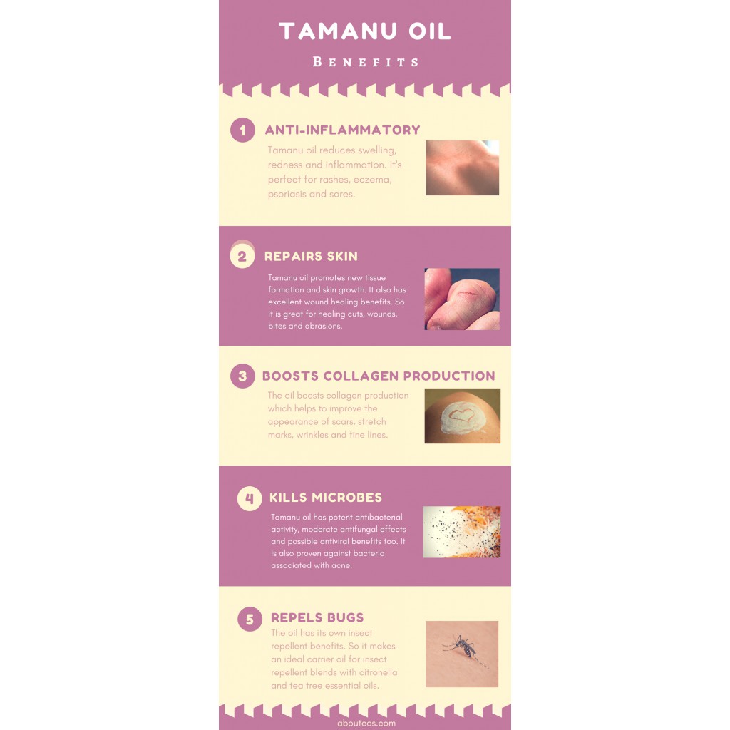 Dầu mù u mờ thâm mụn siêu nhanh OOH Tamanu Rejuvenating Face Oil | BigBuy360 - bigbuy360.vn