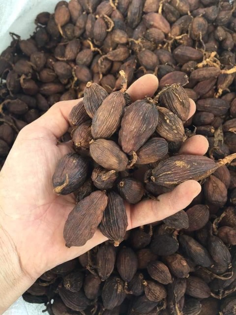 1kg. Thảo quả sạch (quả tò ho) gia vị cho phở và các món ăn ngon | BigBuy360 - bigbuy360.vn