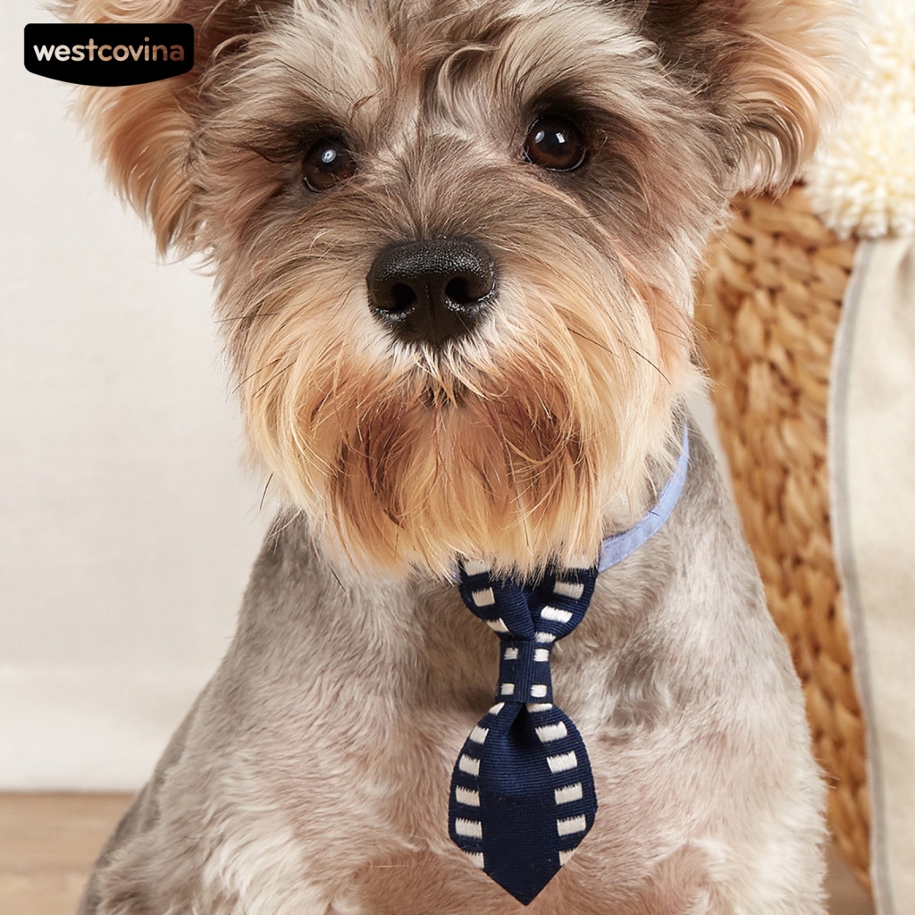 Vòng Cổ Mềm Mại Trơn Màu Trang Trí Đáng Yêu Cho Thú Cưng