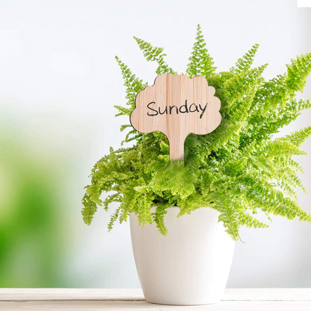 Set 50 Thẻ Gỗ Đánh Dấu Chậu Hoa Trang Trí