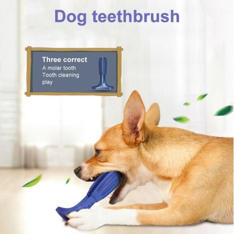 Dụng cụ đánh răng cho chó DOG TOOTHBRUSH (FDA Approved) - Home and Garden