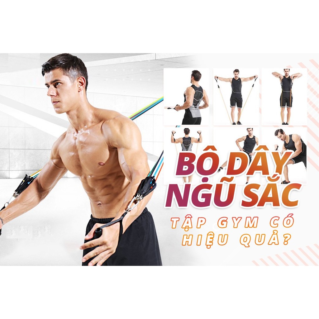 Dây Kháng Lực Đàn Hồi Ngũ Sắc Tập Thể Thao GYM Thể Hình Cao Cấp Dụng Cụ Thể Thao Nam Nữ