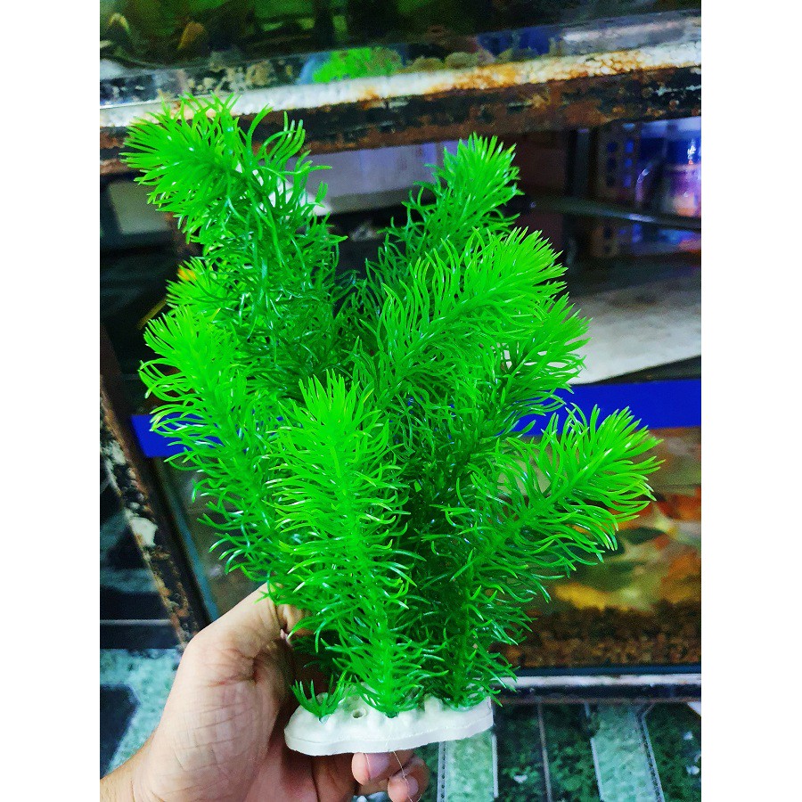 RONG GIẢ TRANG TRÍ HỒ CÁ NON BỘ CAO 23CM
