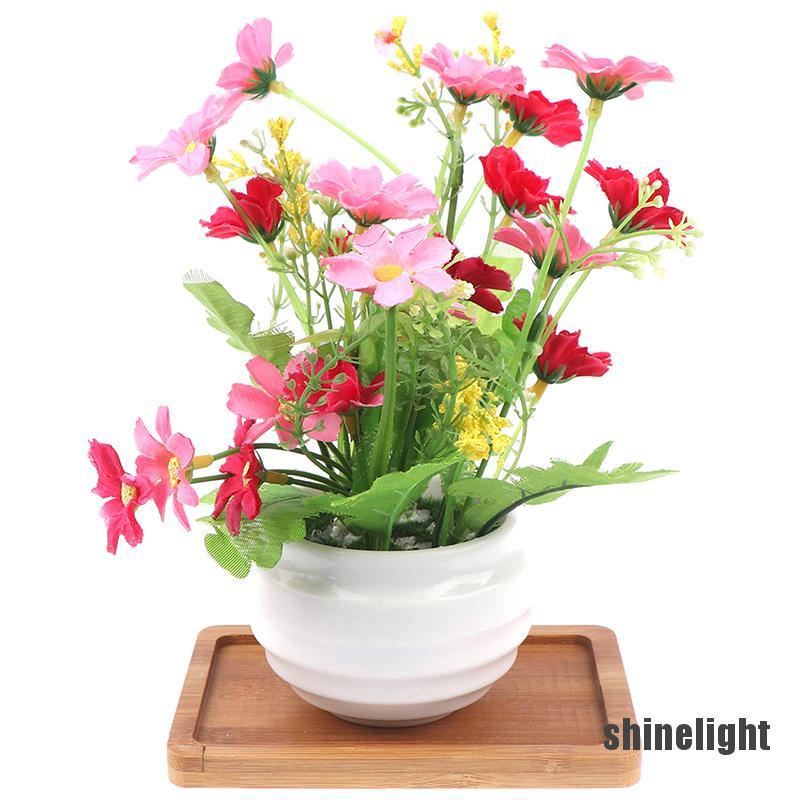 Khay Gỗ Tre Tròn / Vuông Để Trồng Cây