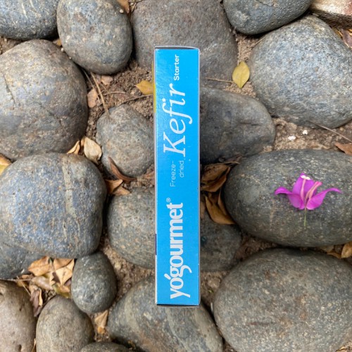 Men làm sữa chua Kefir yogourment 18gr