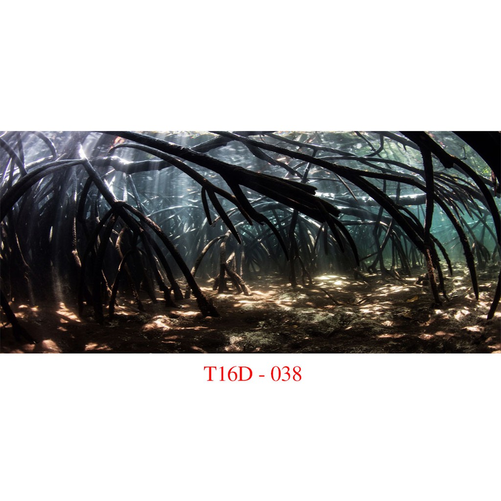 Tranh 3D Bể Cá Cảnh - Tranh Bể Cá Thủy Sinh Có Sẵn Keo Dán, Tặng Kèm Bộ Dụng Cụ