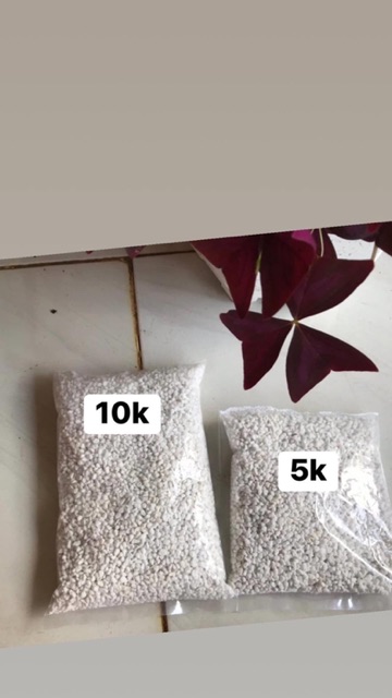 Đá perlite - đá trân châu trang trí, trồng cây gói