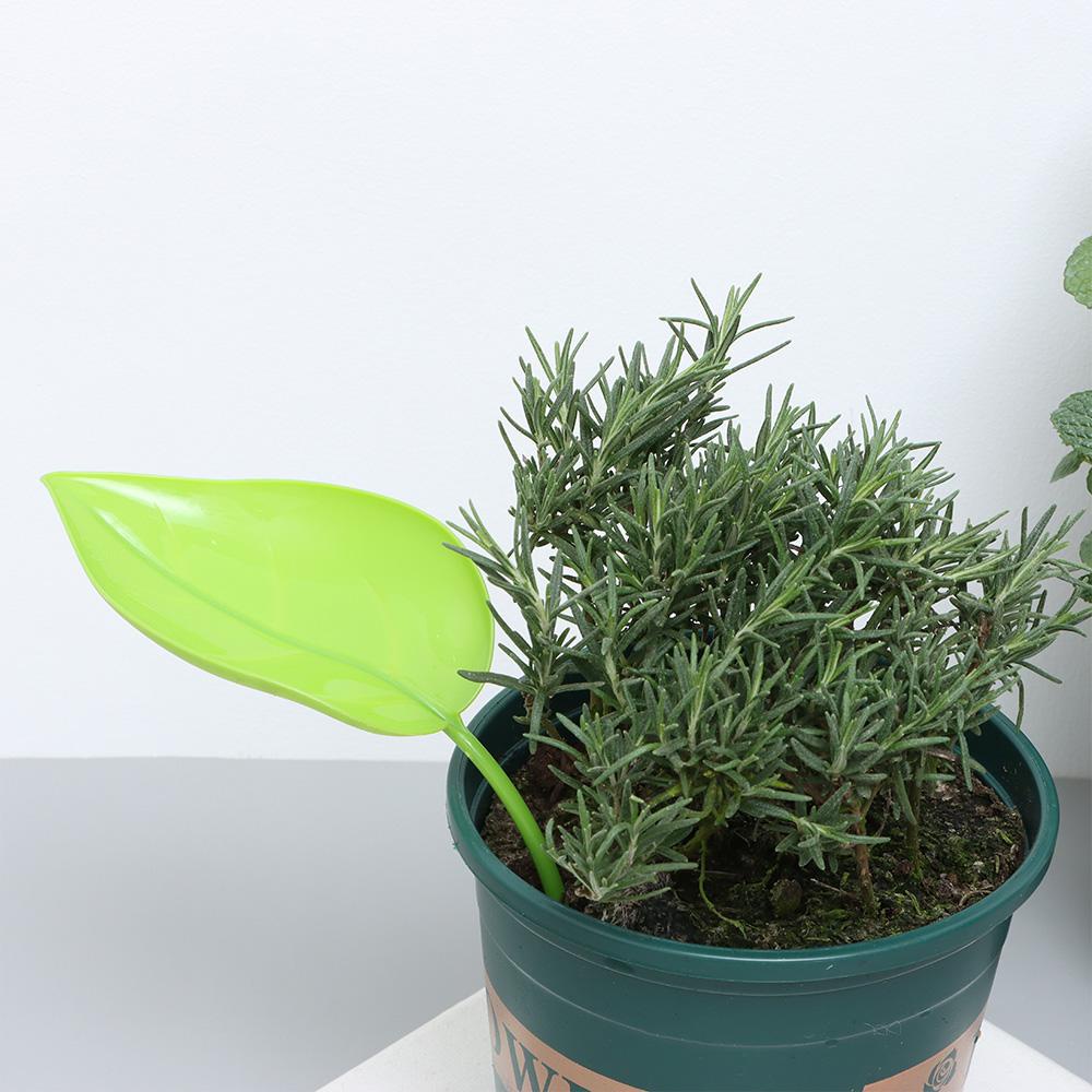 Phễu Hỗ Trợ Tưới Cây Nhỏ Giọt Tiện Dụng Chất Lượng Cao