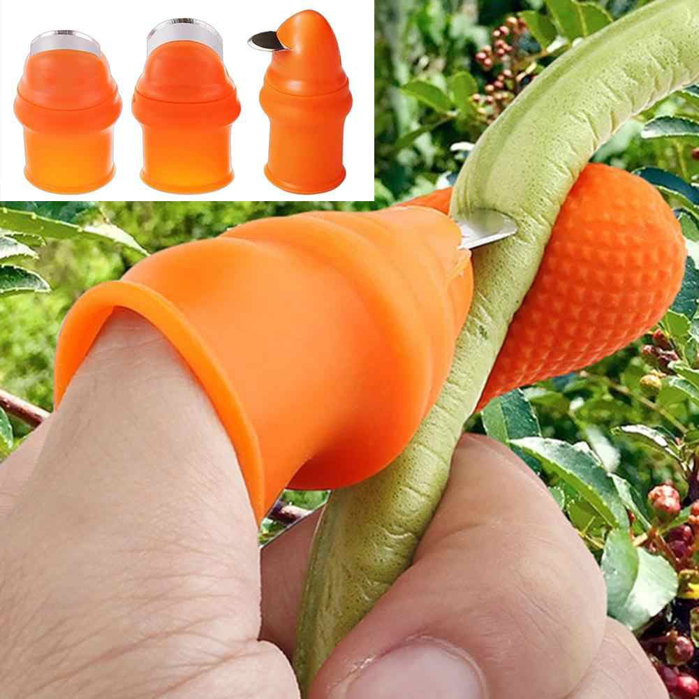 Bộ móng nhặt rau củ quả chống bẩn móng tay, ngón cái bấm cắt rau củ quả