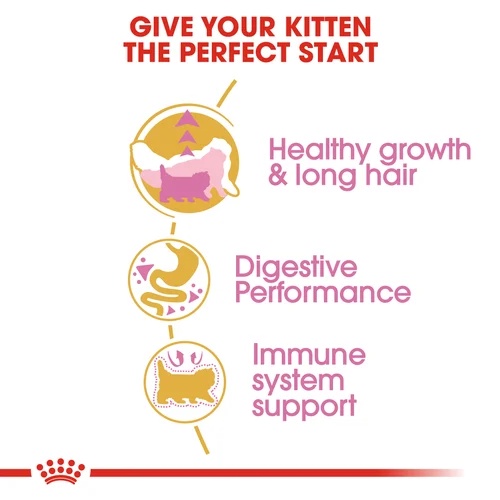 2kg - Hạt Persian Kitten Royal Canin cho Mèo con giống Ba Tư mặt tịt dưới 12 tháng - Thức ăn hạt cho mèo Royal Canin