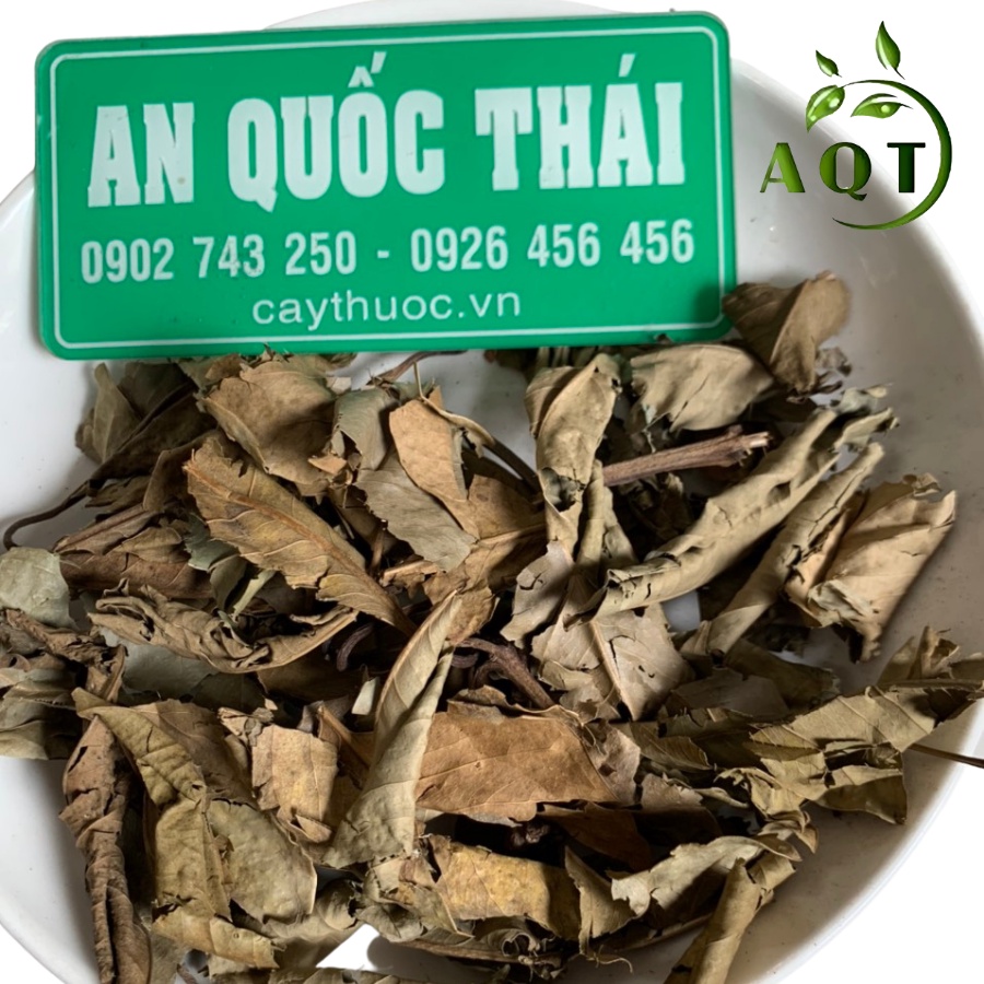 Lá Vối Nếp 500g [Sạch, Nguyên Chất] Hỗ Trợ Bệnh Gút, Tiểu Đường, Lá Vối Khô Tự Nhiên Giúp Thanh Nhiệt, Lợi Sữa