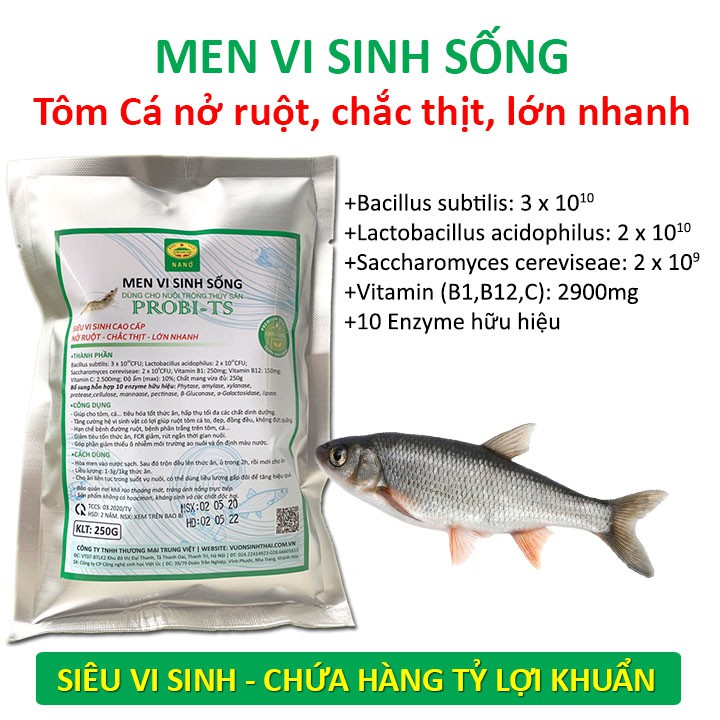 Men vi sinh cho Tôm Cá. Nở ruột, chắc thịt, lớn nhanh. Chứa hàng tỷ lợi khuẩn. Ngăn ngừa các bệnh về đường ruột